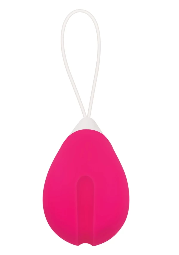 Evolved Novelties Remote Control Egg 2 Evolved Novelties Remote Control Egg - Image 2