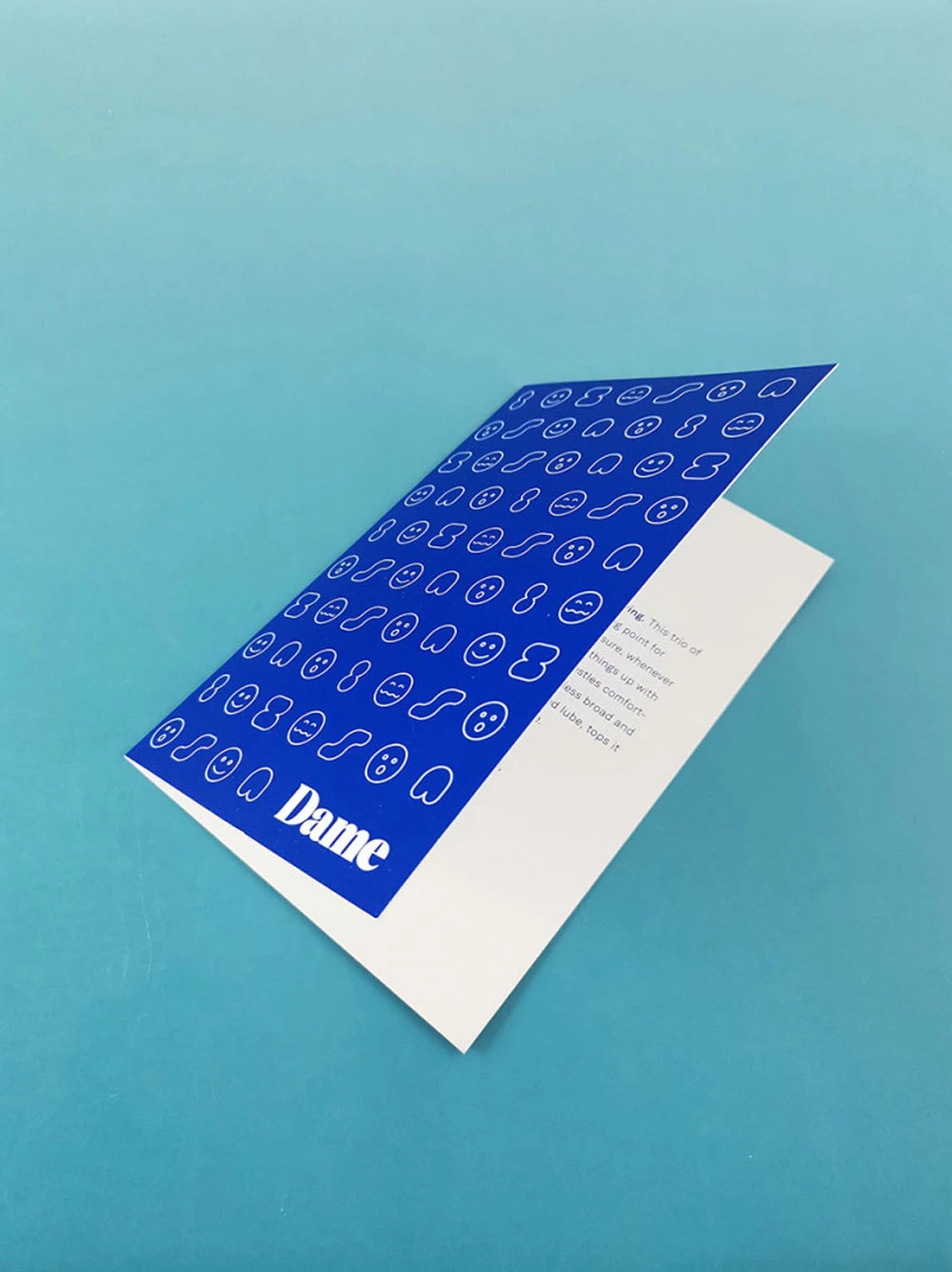 Dame Gift Bundle 5 Dame Gift Bundle - Image 5