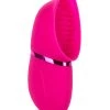 Cal Exotics Intimate Pump Rechargeable Full Coverage Pump